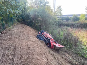 Après intervention : terrain nivelé et débarrassé de la souche, prêt à être réaménagé, à La Gacilly