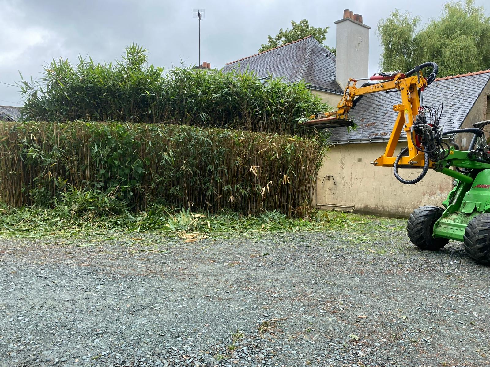 Une machine au bras articulé jaune taille une haie de bamboo devant une maison.
