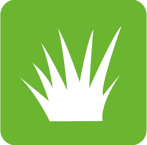 Icône Conseil